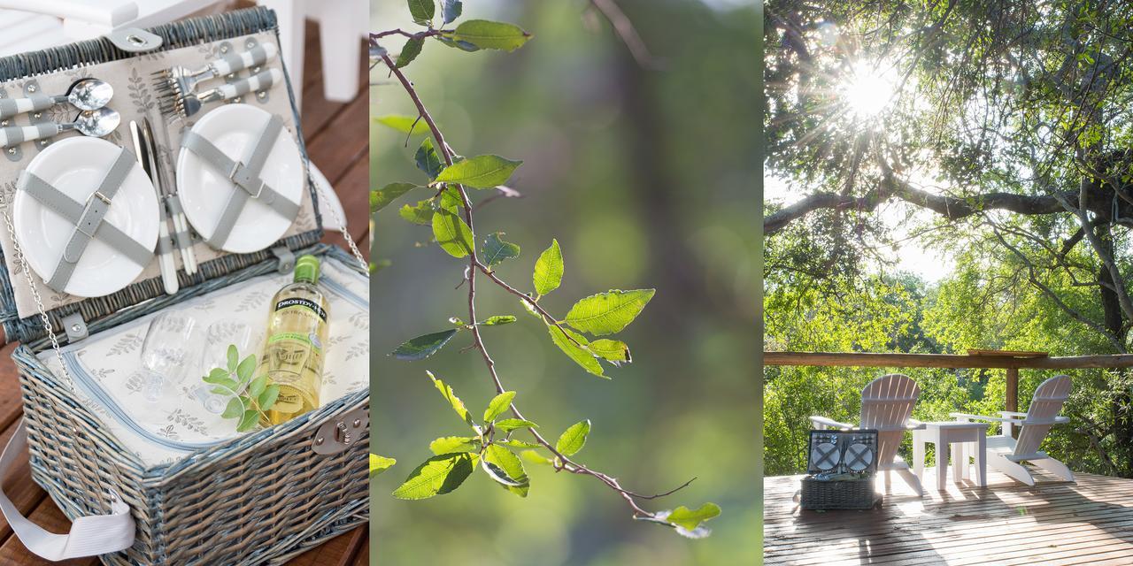 Bushbaby River Lodge Hoedspruit Eksteriør bilde